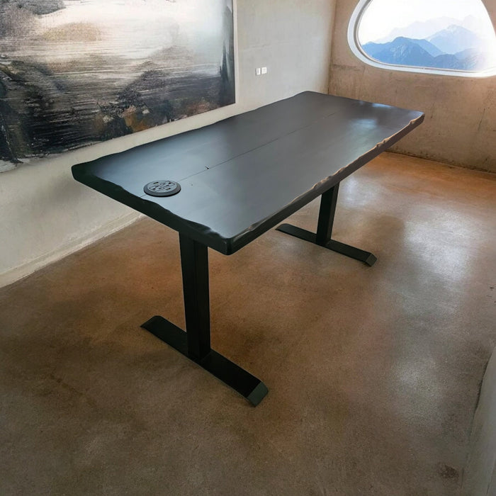 Black Void Electric Standing Desk with Adjustable Stand /Base